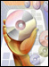Software Solutions